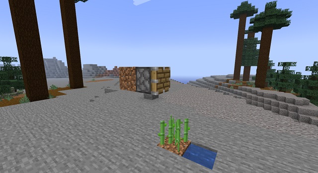 చెరకు పక్కన ఒక బ్లాక్తో పిస్టన్